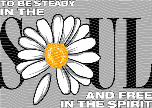 Best selling design-CX 2295